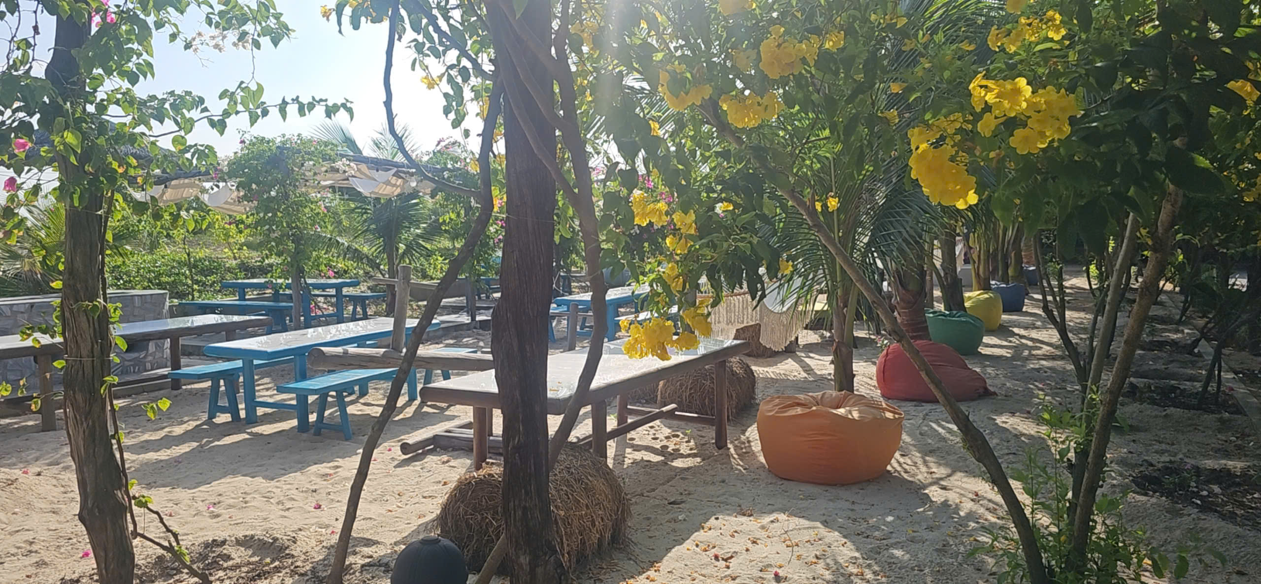 eco-village-hue-organic-farmstay (4)