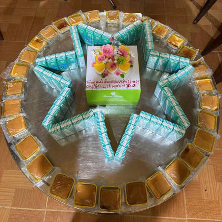 vien-duong-lao-chua-dieu-vien