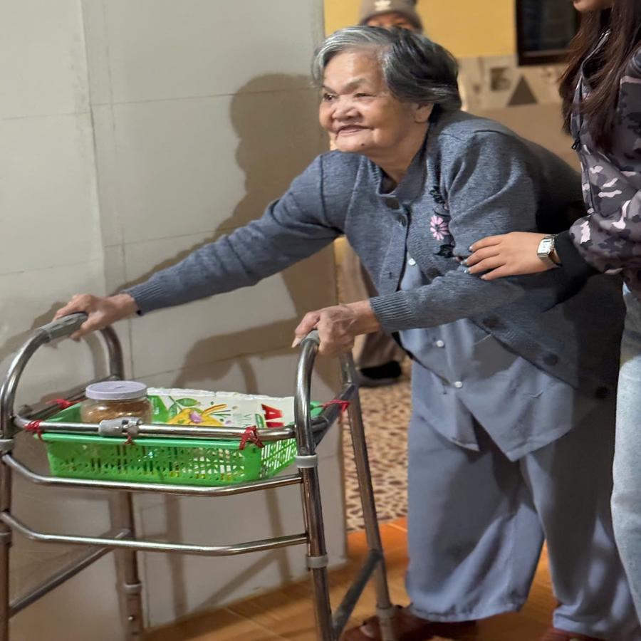 vien-duong-lao-chua-dieu-vien